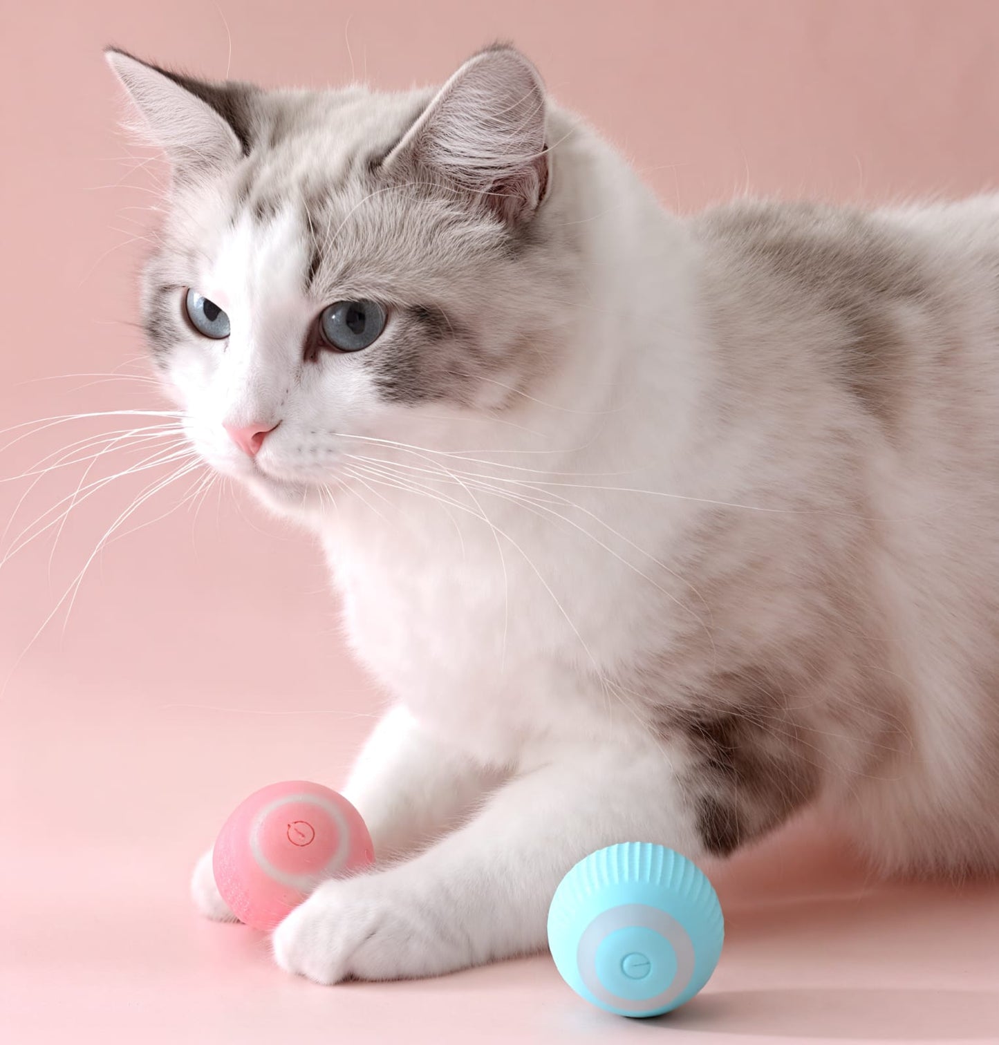 Pelota Inteligente Para Gatos