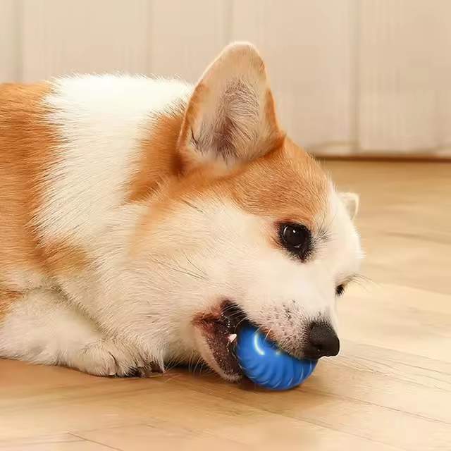 Pelota Inteligente para Perros