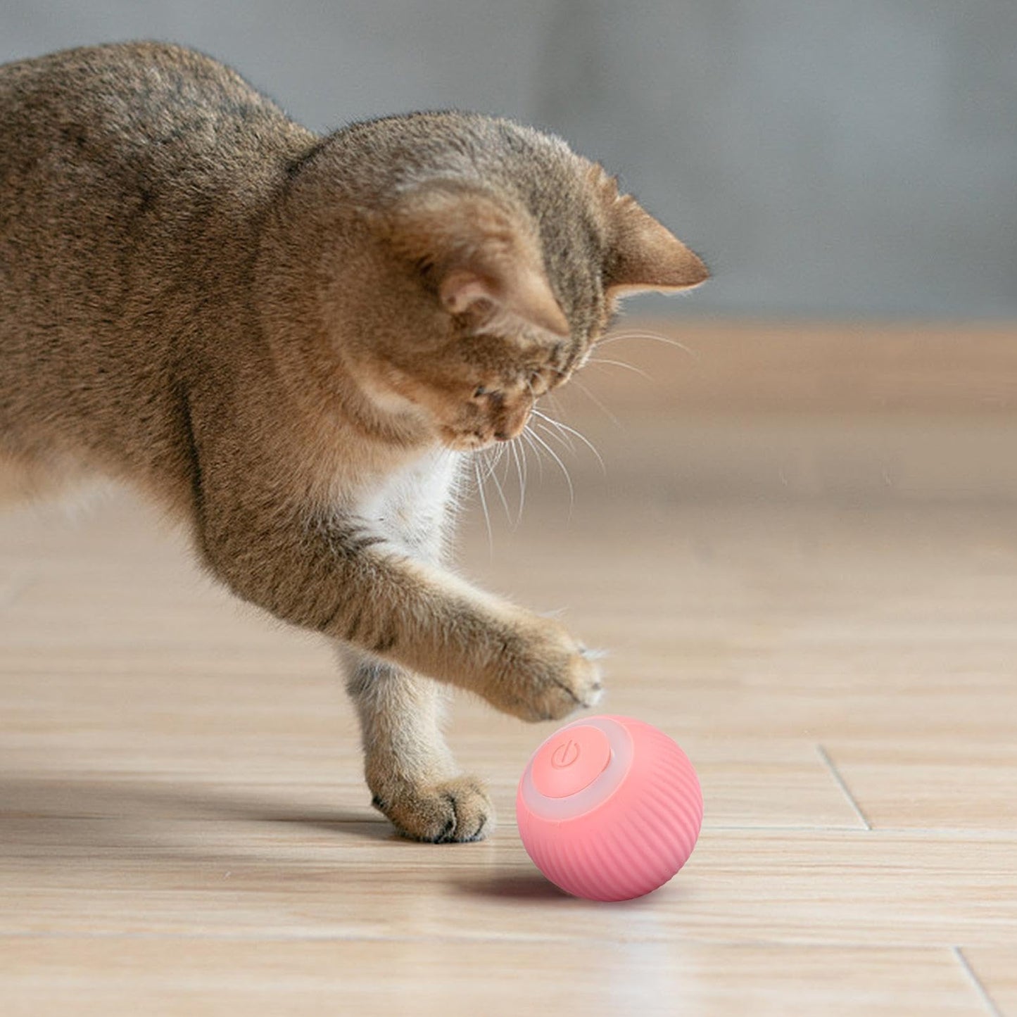 Pelota Inteligente Para Gatos